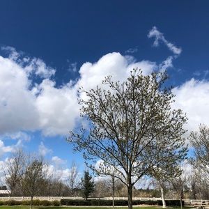 Meet your Posher, Peifen